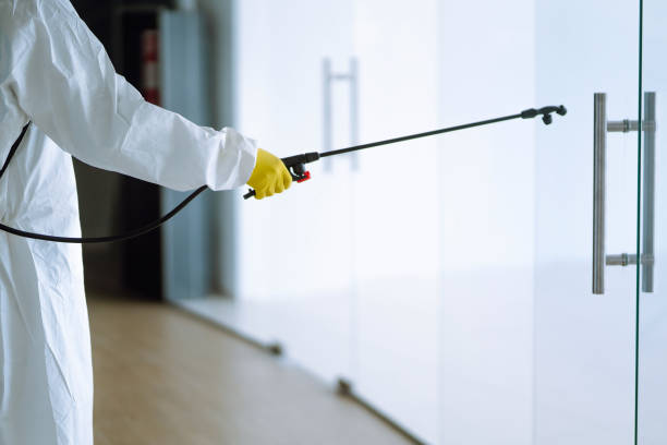 Best Mold Remediation for Healthcare Facilities  in North Haledon, NJ